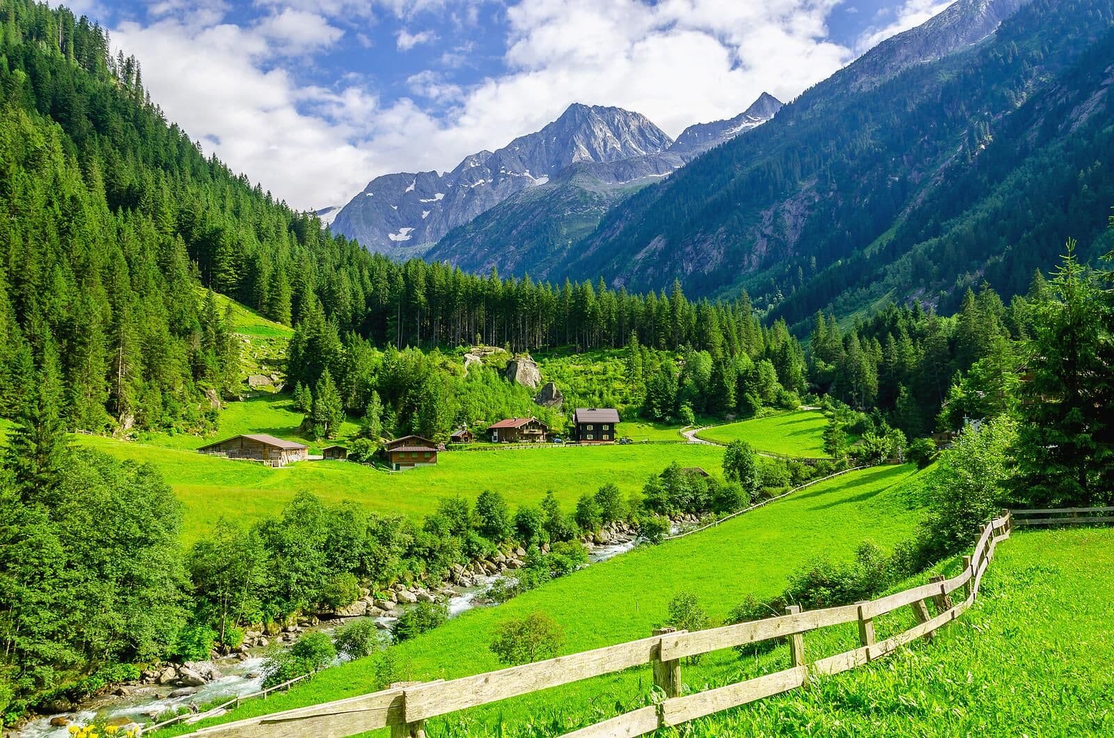 green meadows in the swiss alps