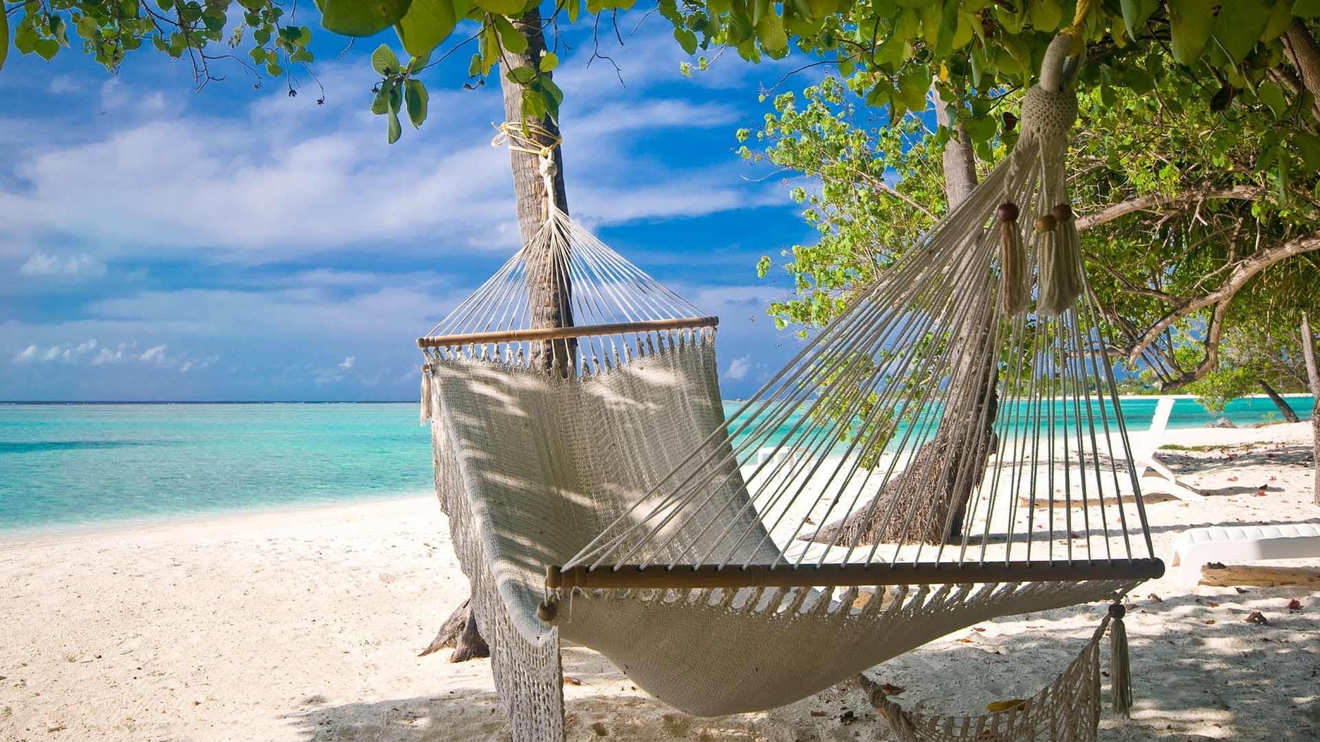 tropical beach