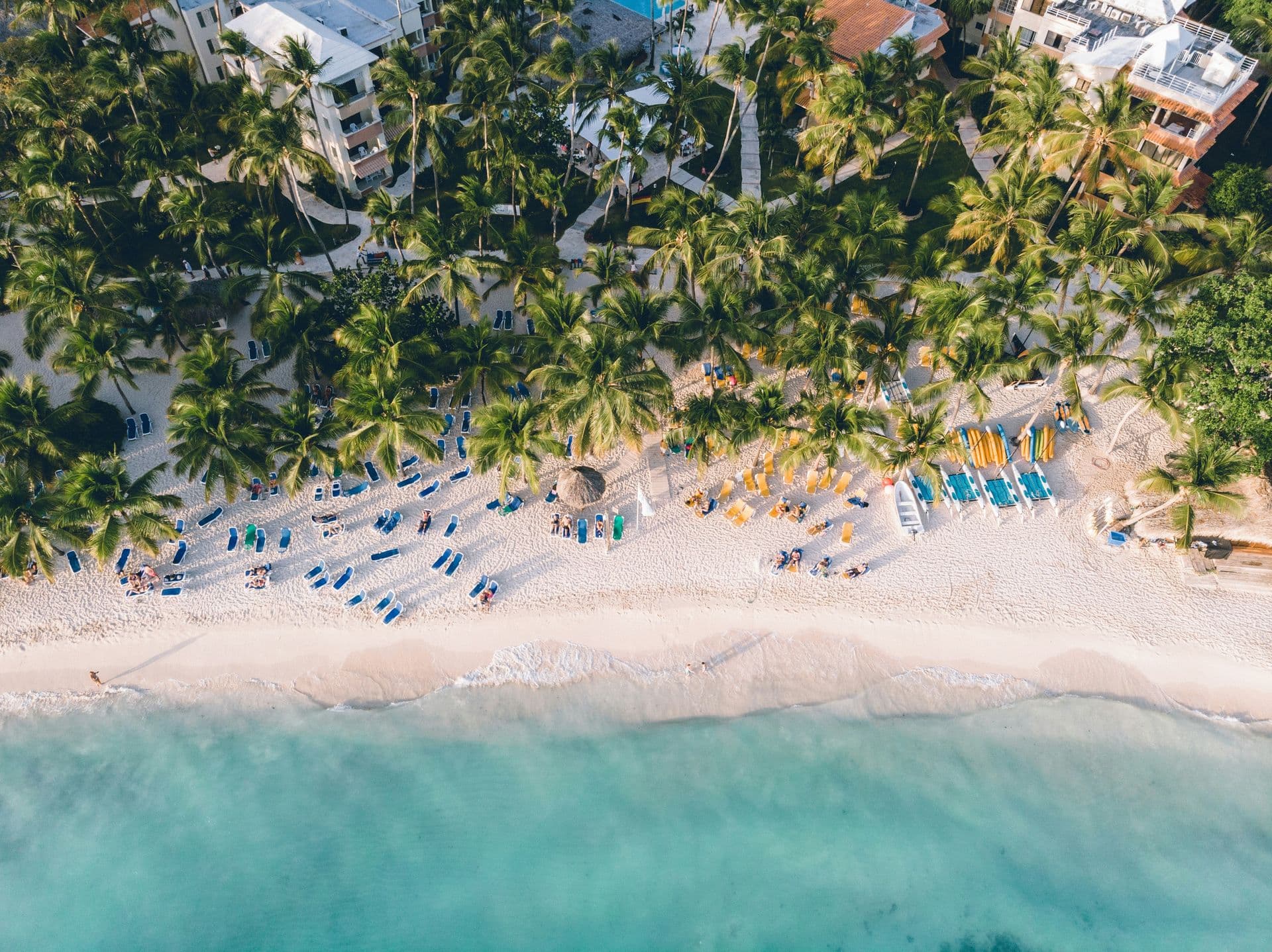 bird's eye view of a tropical beach